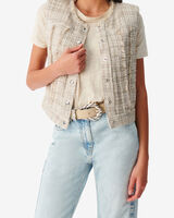 DILEA image number null